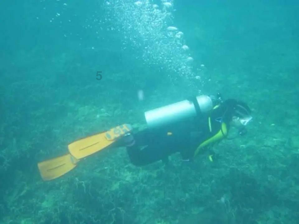 青春礼记